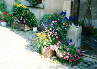 Ferienwohnung Schleiz OT Grochwitz Ferienwohnung St&ouml;ckigtsm&uuml;hle Bild 2